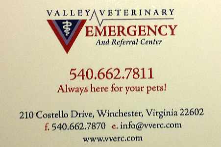 Emergency Vet, Winchester